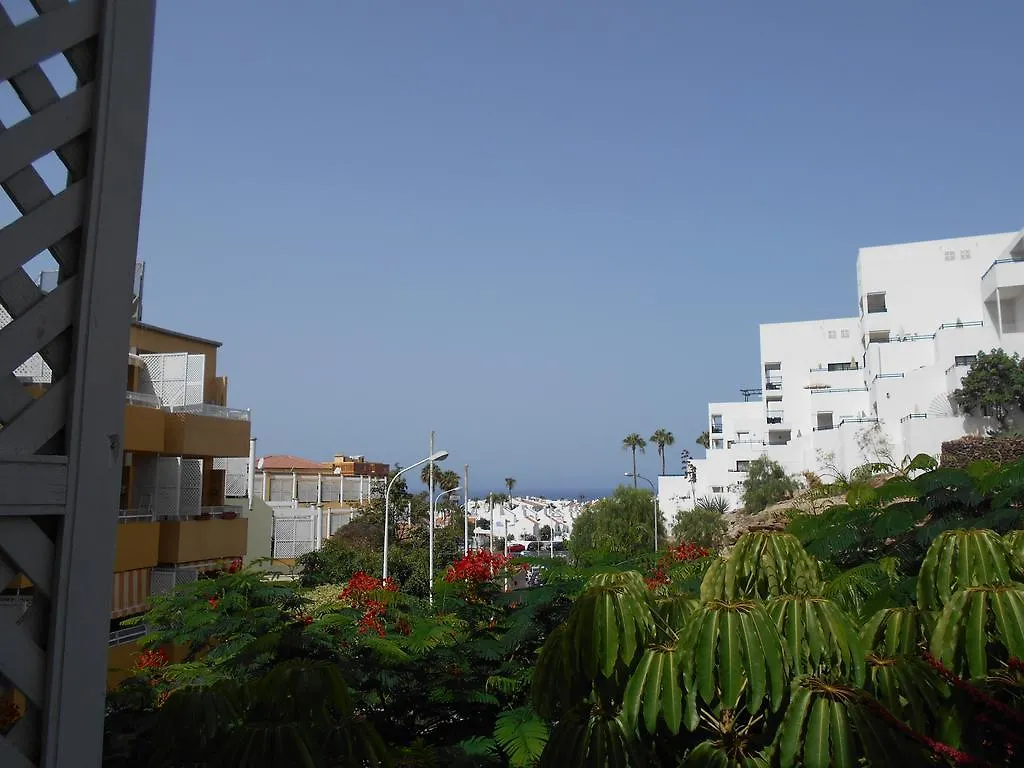 Orlando Apart Costa Adeje  Costa Adeje (Tenerife)